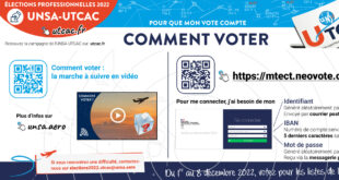 thumbnail of IEEAC_Flyer-Voter_UTCAC