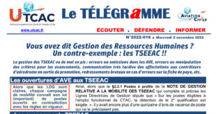 thumbnail of Télé_2022_016 Gestion des RH a la dgac vdef