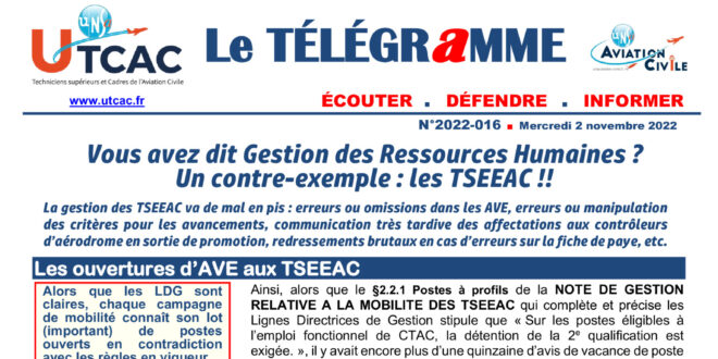 thumbnail of Télé_2022_016 Gestion des RH a la dgac vdef